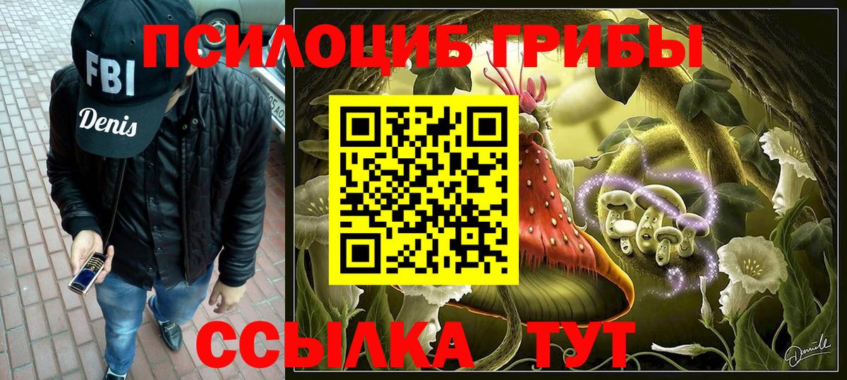 Кувандык  Галлюциногенные грибы мицелий  Вход с VPN  Псилоцибиновые грибы мицелий 