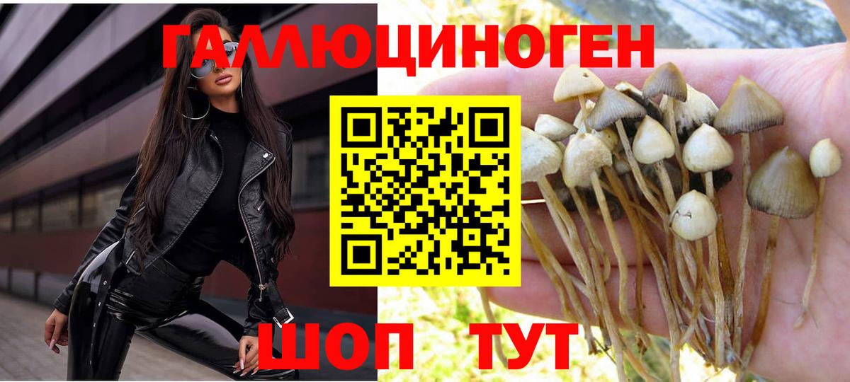 Галлюциногенные грибы GOLDEN TEACHER Кувандык